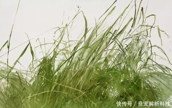  『画家』法国画家的灰调水彩画,太有质感啦