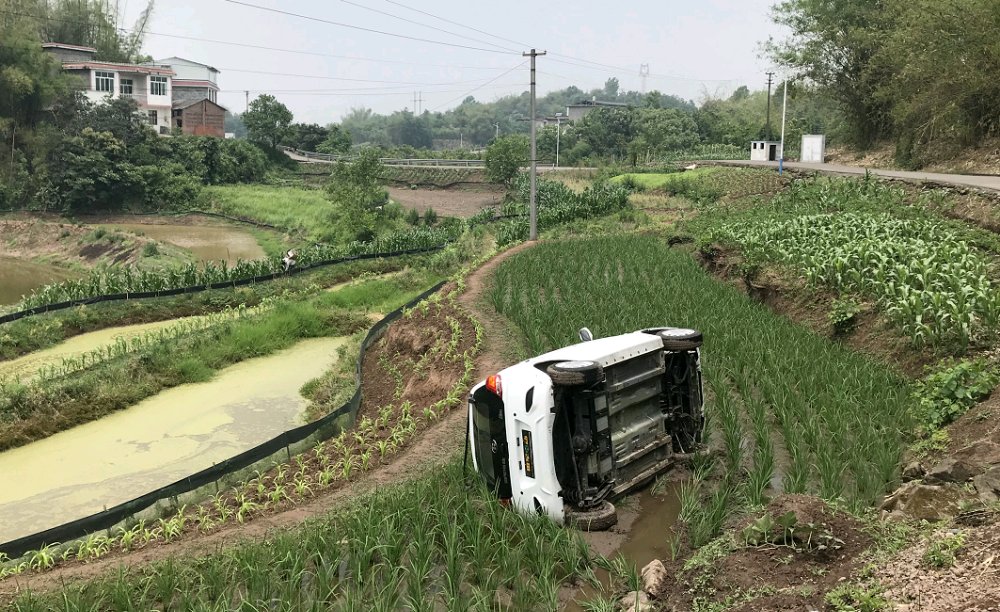 【电动小车】太刺激了！一辆汽车冲进江安的稻田，拐了180度