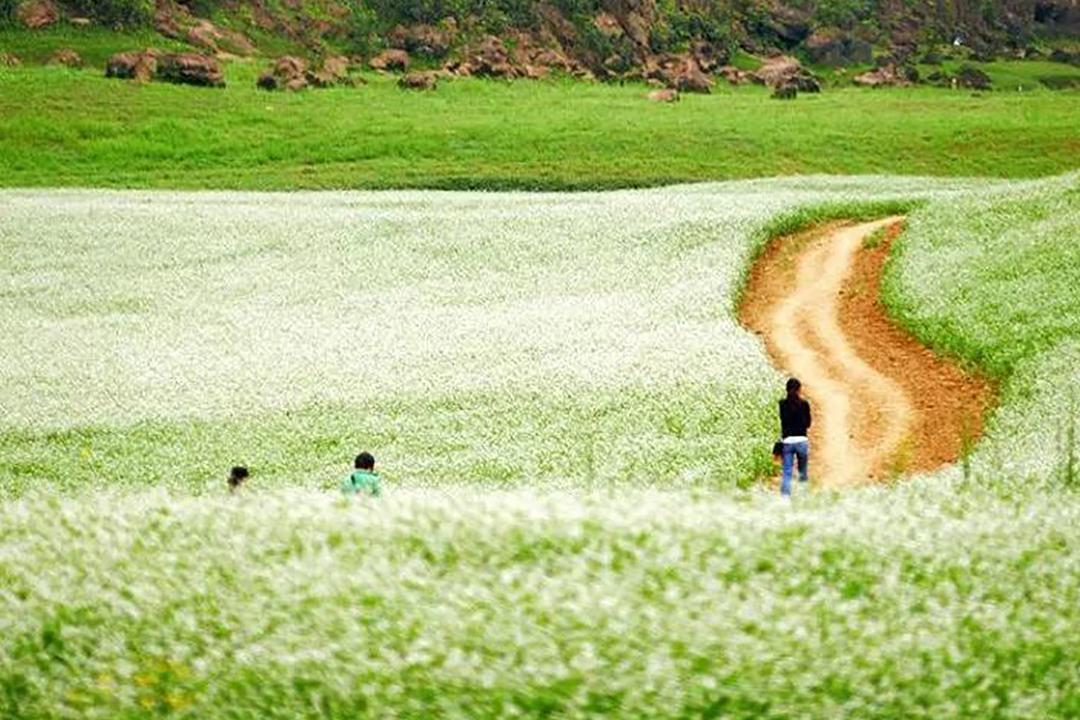 广西的这些小众景点:比桂林更加迷人,宛如世外桃源