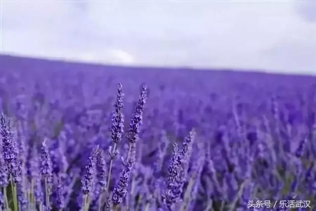 湖北人自己的九寨沟 你晓得不？