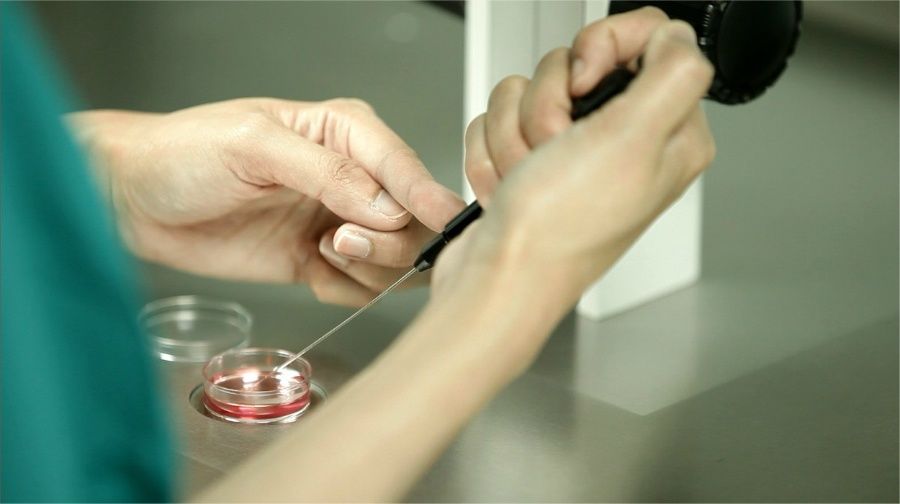 评论!试管码是干什么的"如何备孕"-第1张图片-空竹博客