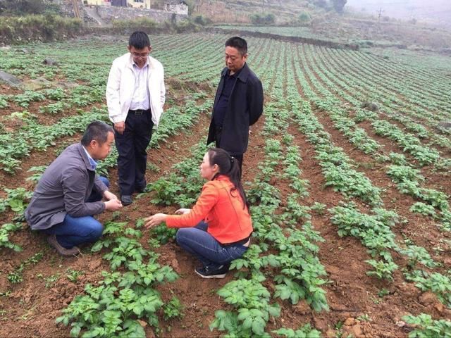 未来农村老农民退休，年轻人不会种地，农田该怎么处理？