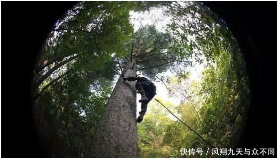  产地■产地收购价大涨，逼近45元，连年供不应求，农民：有多少