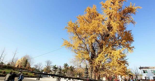  『高铁』山东将要“腾飞”的县城，喜获千亿高铁项目，未来将迎来巨大发展