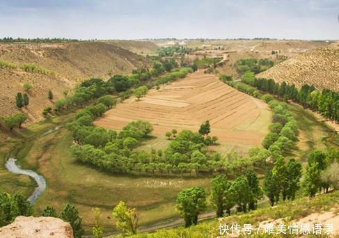 全球最大治沙工程40年治沙5000万亩，改变半个中国命运！