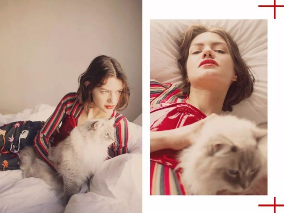 今秋头发越“短”越时髦,剪了的人都美翻了!