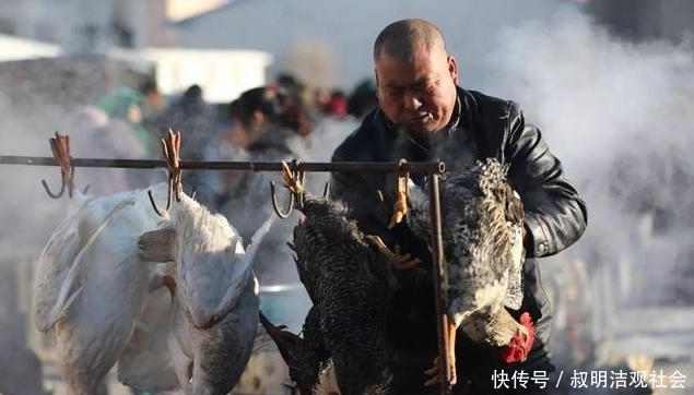  「食物」未来一个月，农村3样东西，大概率要涨价，老农：再贵也