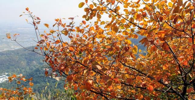 再过几天 这里将超过故宫 成为北京最热门景区