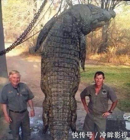 一组顶级照片,大开眼界!给大家欣赏欣赏