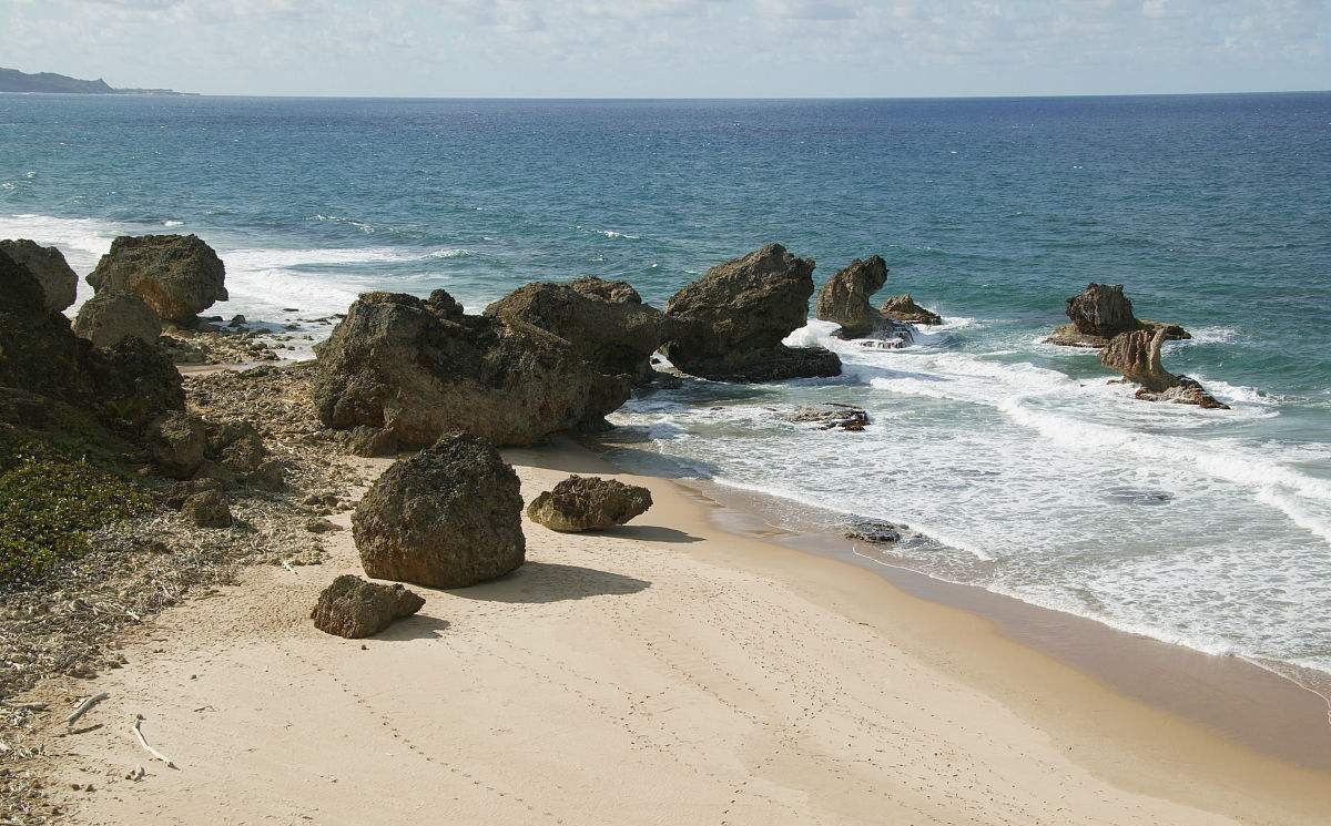 世界实力第一黑人国家：90%人口为黑人，据说比卡塔尔还要发达