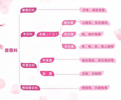  【园林景观】赏花不知花叫啥？一份春季花朵辨认指南请查