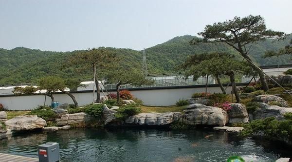 庭院景观之铁打的禅意，流水的创意