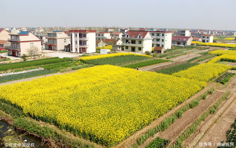  「自建房」建筑材料大幅涨价，农房又要统一规划，农民纠结该不