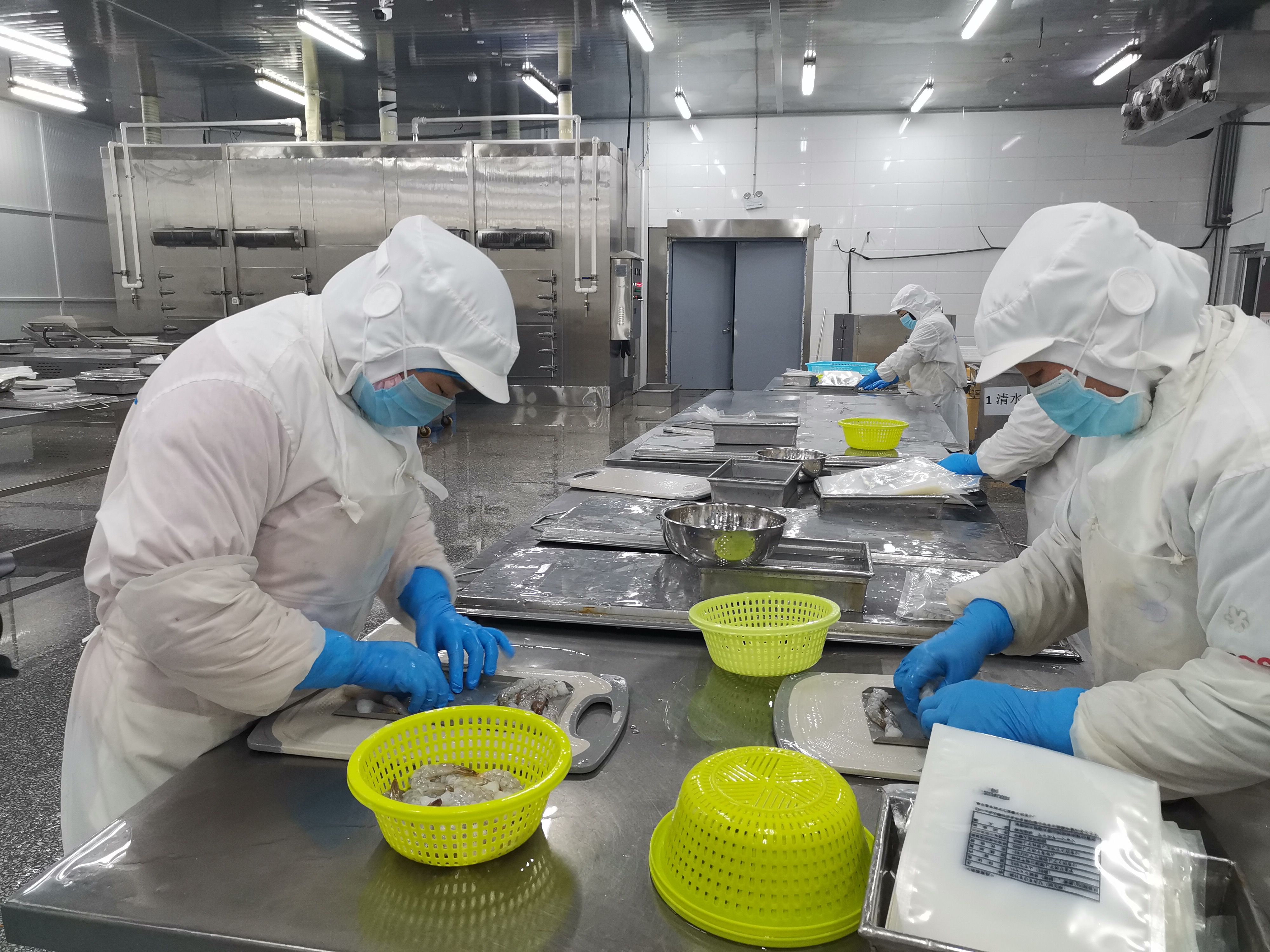  「经济」小对虾掀起现代海洋大产业！滨州北海经济开发区推动传统海洋产业提档升级