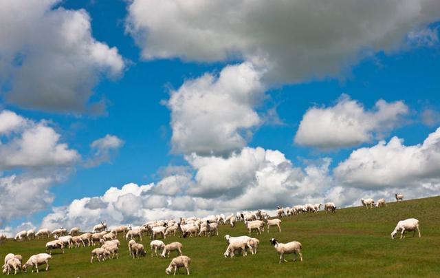  「大连」中国最长的省，不是甘肃省，比大连到海口还要长很多！