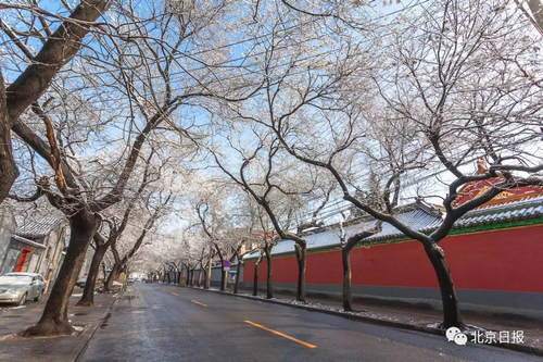 大年初三北京要下雪？这些赏雪好去处先收藏