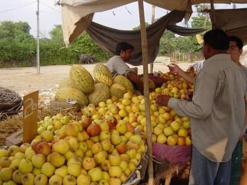  [水果]中国解巴铁“燃眉之急”，另一国“慌了”，称：为啥不买