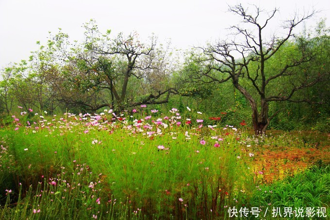 国庆小长假，天津蓟州吃、住、玩首选郭家沟，一起看看秋季美景！