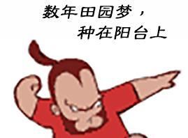 「台长」兰花催芽育苗新招分享,在盆内进行分株,不换盆发芽更快!