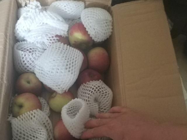 167斤男胖子用“苹果减肥法第一天”效果意想不到!