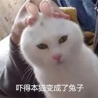 辟谣华城圩镇有人拐卖孩子?真相在这里!