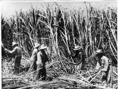  「到处都」夏威夷是美国的领土，为何却遍地是亚洲人