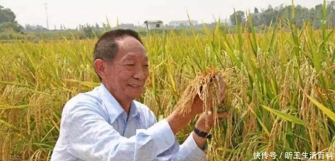  董事长|出任董事长、还有两个目标！袁隆平：我没有想过退休！