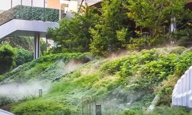  『景观』地被植物配置技巧