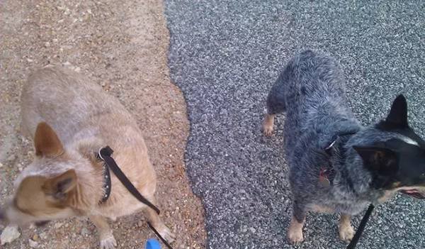 没有PS我怀疑我看了张假照片，那些年让人惊叹的真是照片