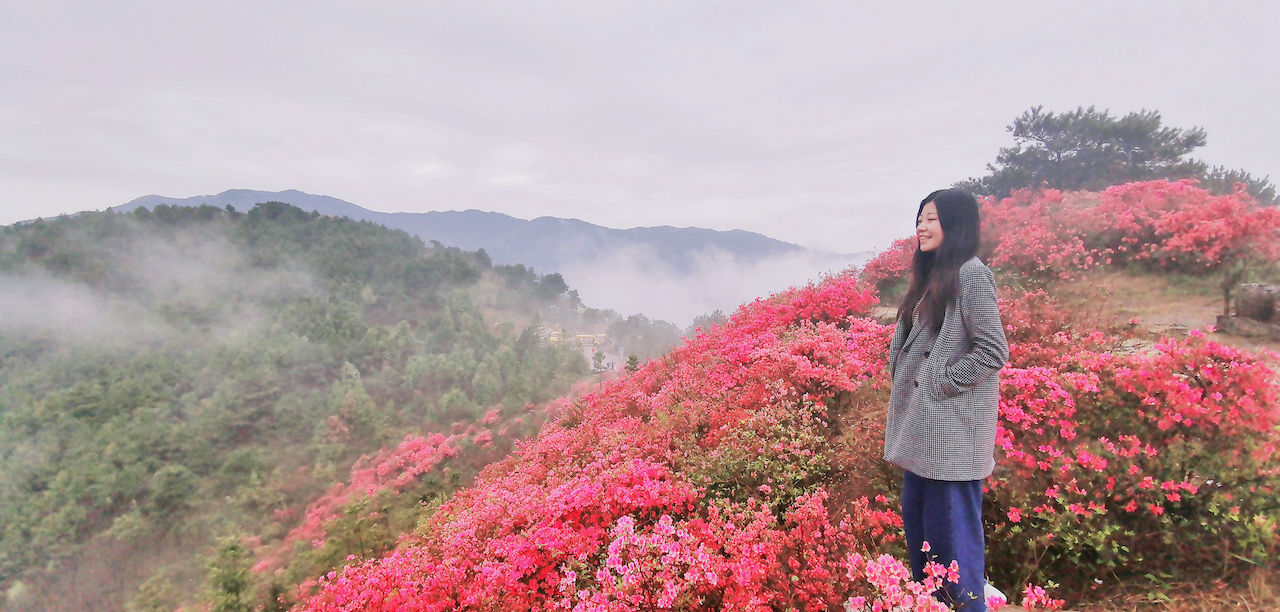 武汉周边游3??丨黄陂赏花和登山徒步，推荐这四个景区必须打卡