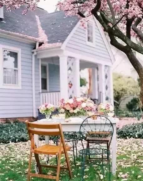 这样的小院，才叫有情调！