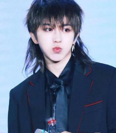 男星鲻鱼头发型: 王一博秀气, 范丞丞像精灵, 千玺帅的移不开眼