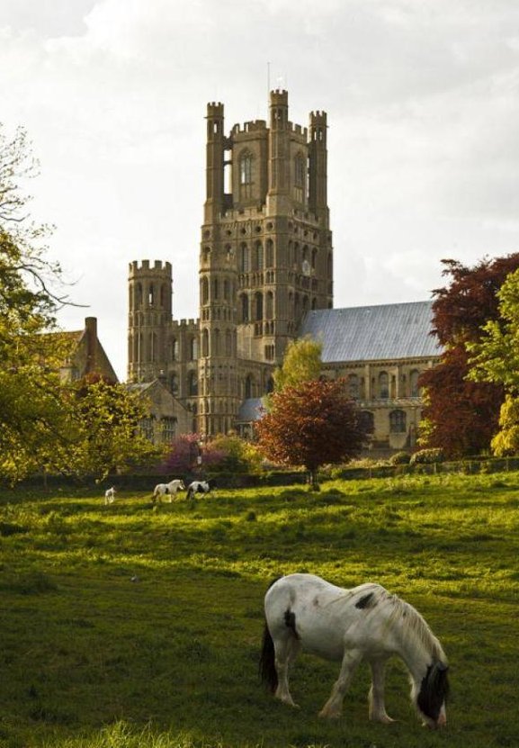  「上车」英国一个“神奇”的火车站，一年12个乘客，向司机挥手