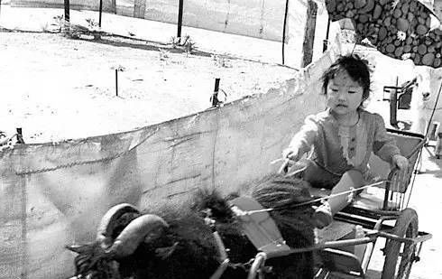  绝版@揭秘一组长沙绝版老照片,看过的人哭了!看懂的人都老了!