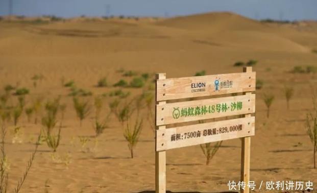 #旅游#国内一沙漠即将被消灭,却来了一群“捣蛋鬼”,太不欢迎了!