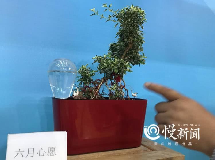  [男人]靠“花”起家的男人