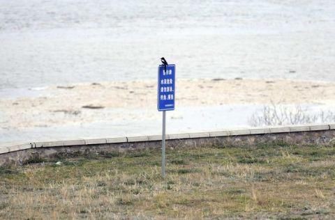  『北京』现场｜众多人在永定河非法捕鱼