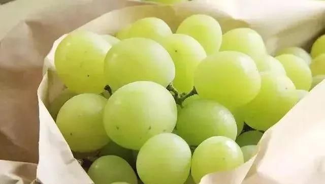  #阳光#“阳光玫瑰”葡萄在日本卖天价，引种中国为何跌下神坛？