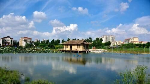  『高铁』有一口20亩的水塘、靠近高铁站，怎么才能让它的利益最大化呢？