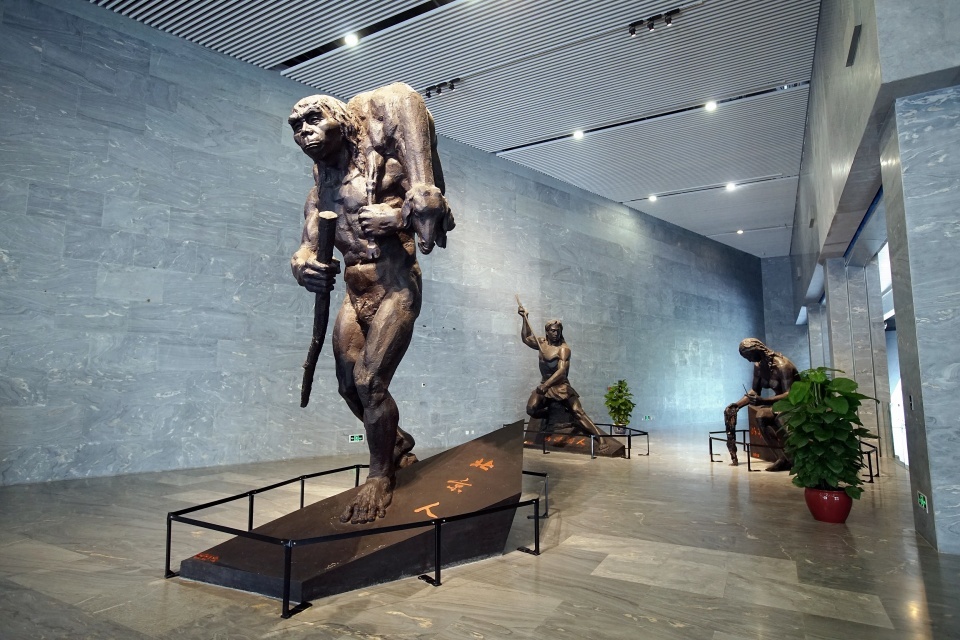 北京老年证如何办理