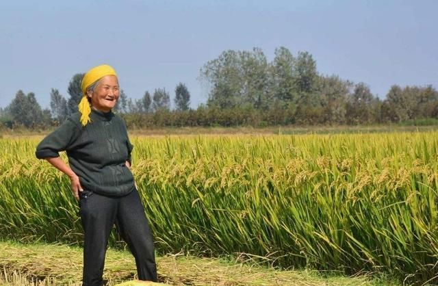  「买房子」十年前，农民赚钱就回村子建房子，现在在城里买房子，农村会消失吗？