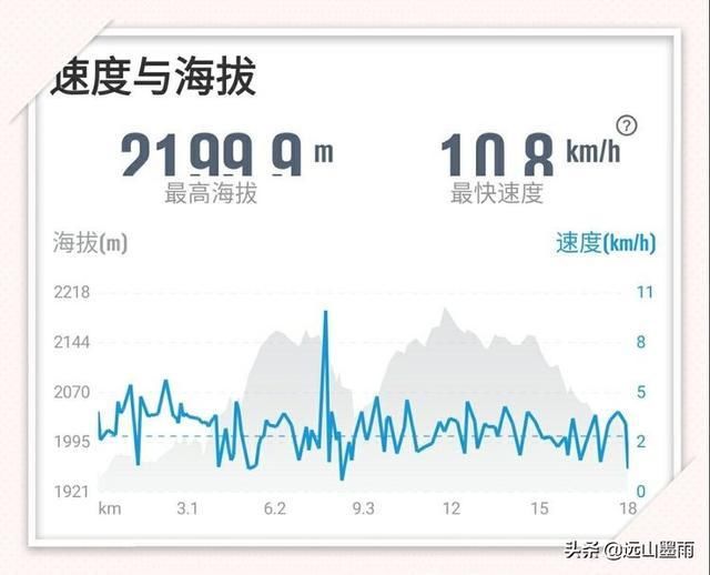 随走昆明金殿后山，穿行在云南自然森林中心的惬意体验