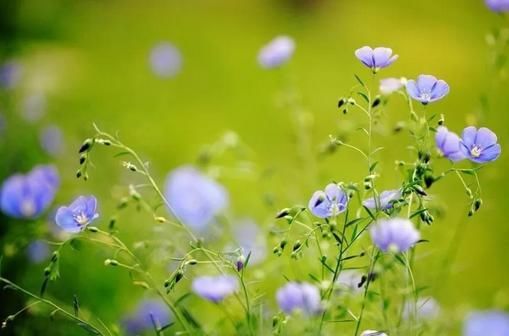  「十全十美」2019退休族新标准，你达标了吗？