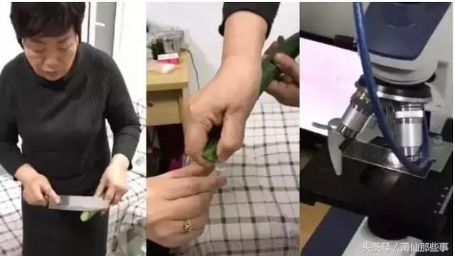 黄瓜中有杀不死的寄生虫，这条谣言你信了吗？挑选黄瓜请注意！