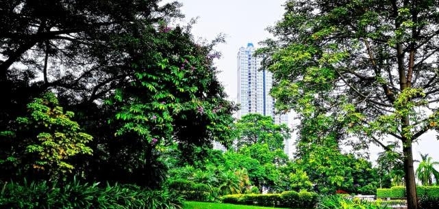  [我国]我国广东“最无奈”的城市：它位于珠三角的中心，为何相