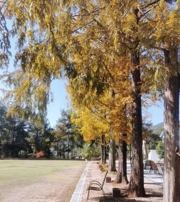 贝壳分享｜|看完这篇，又多了好多打卡地