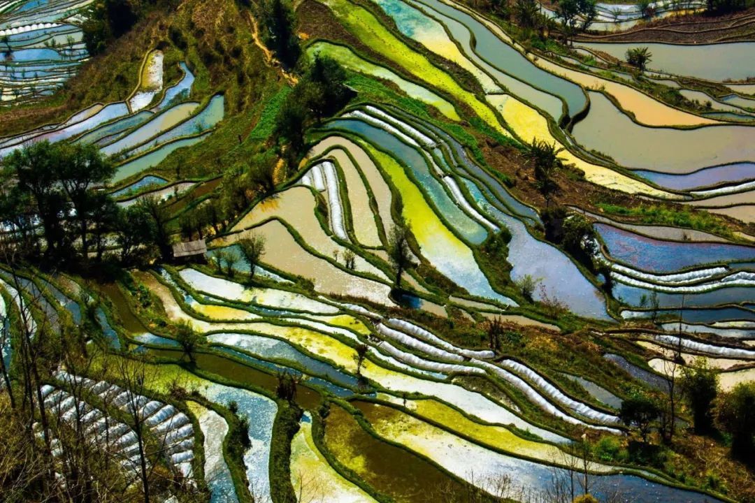 3月云南，这里最值得去！