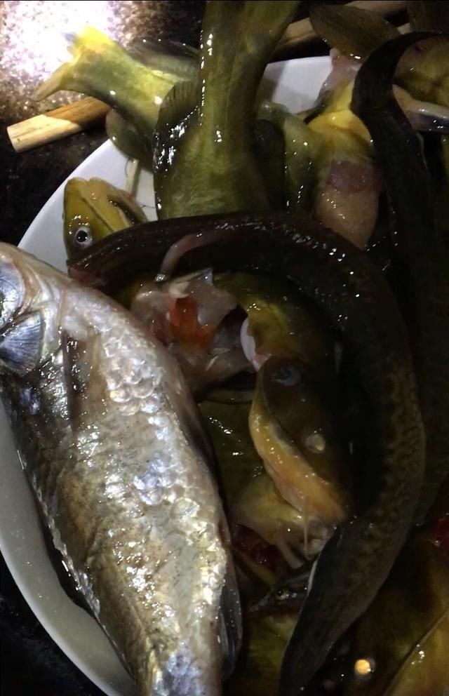  一小■秀一小拔鱼获，亲自动手钓上、剖洗、再黄焖
