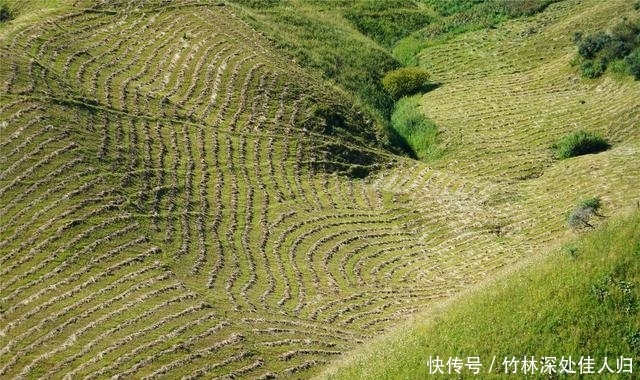 跟着哈萨克族牧民上山打草，体验哈萨克族生活，感受新疆秋季魅力