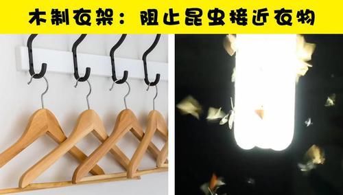 『秘密』你所不知道的12个隐藏在日常事物中的小秘密